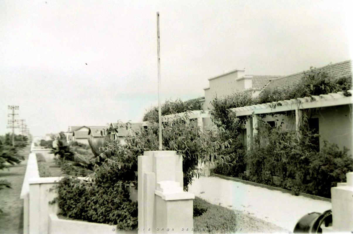 Mazagran 502- Jardin Spiney COLLECTION DES AMIS DE ND DE SANTA CRUZ.JPG